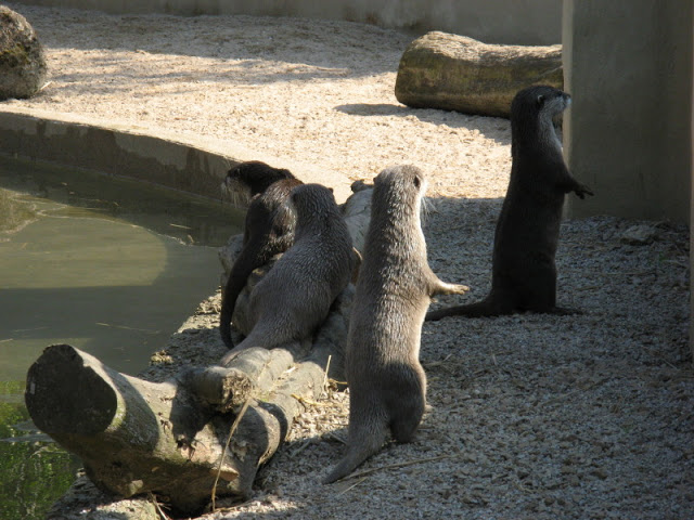 Paradise Park 20.04.2009