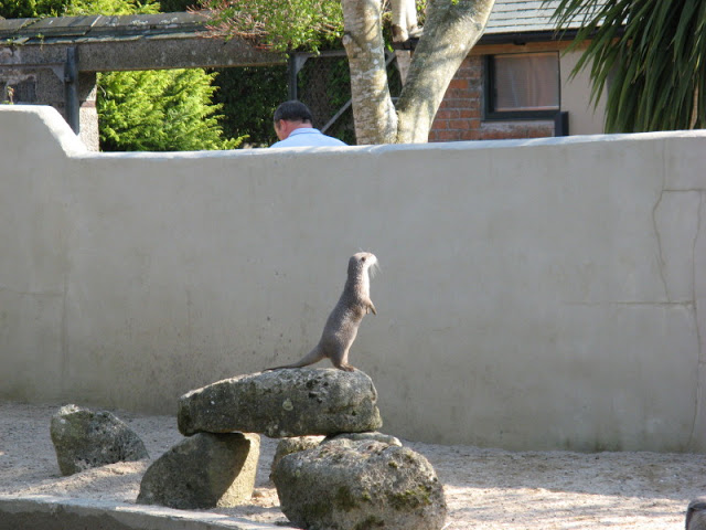 Paradise Park 20.04.2009