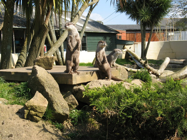 Paradise Park 20.04.2009