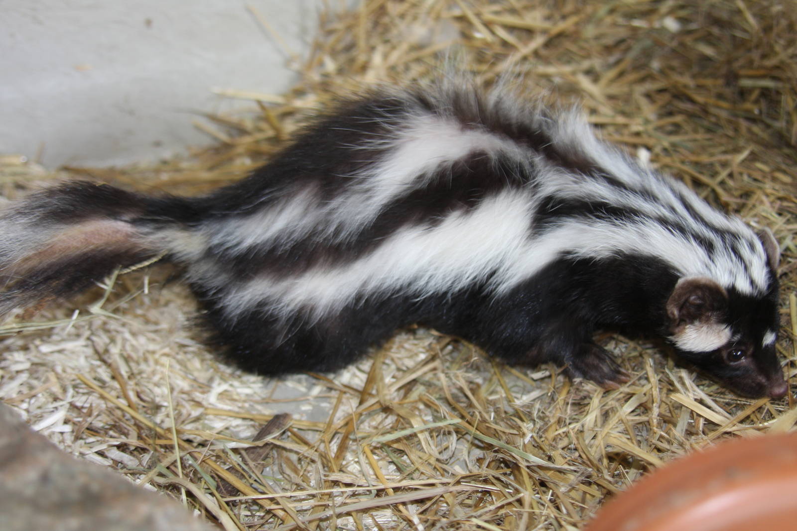 Paradise Wildlife Park 2010