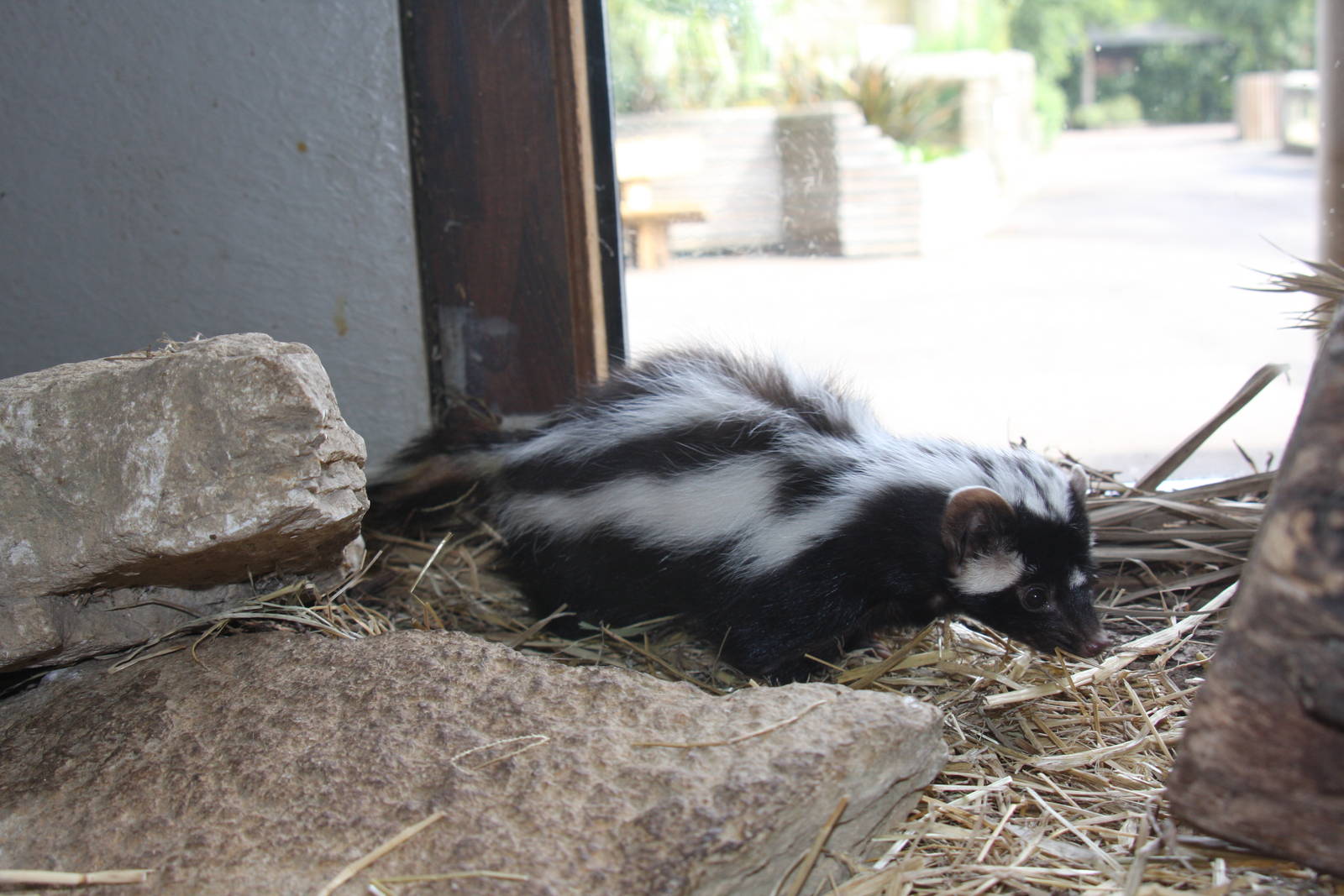 Paradise Wildlife Park 2010