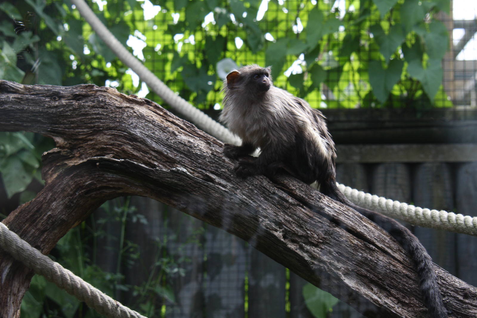 Paradise Wildlife Park 2010