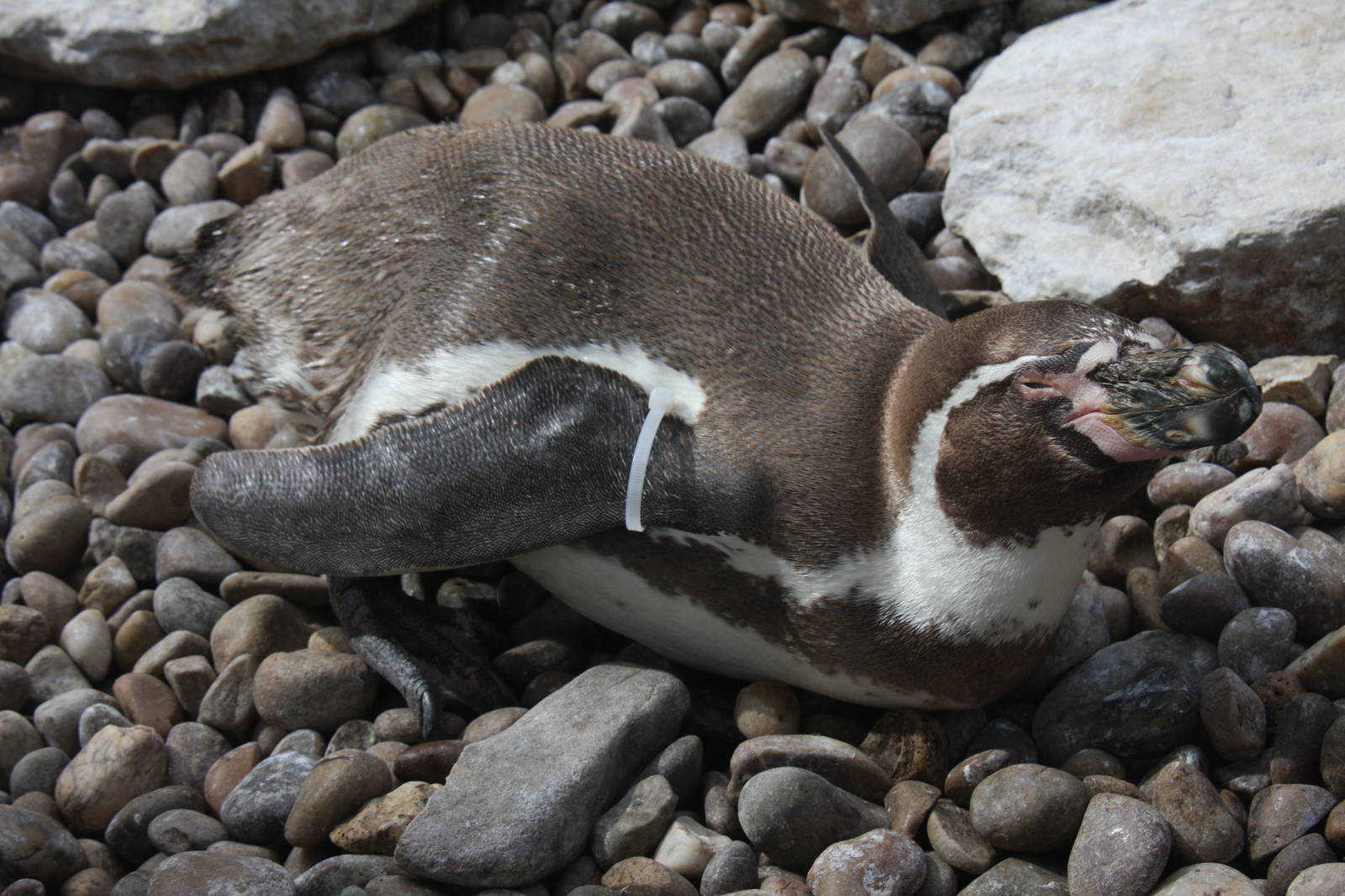 Paradise Wildlife Park 2010