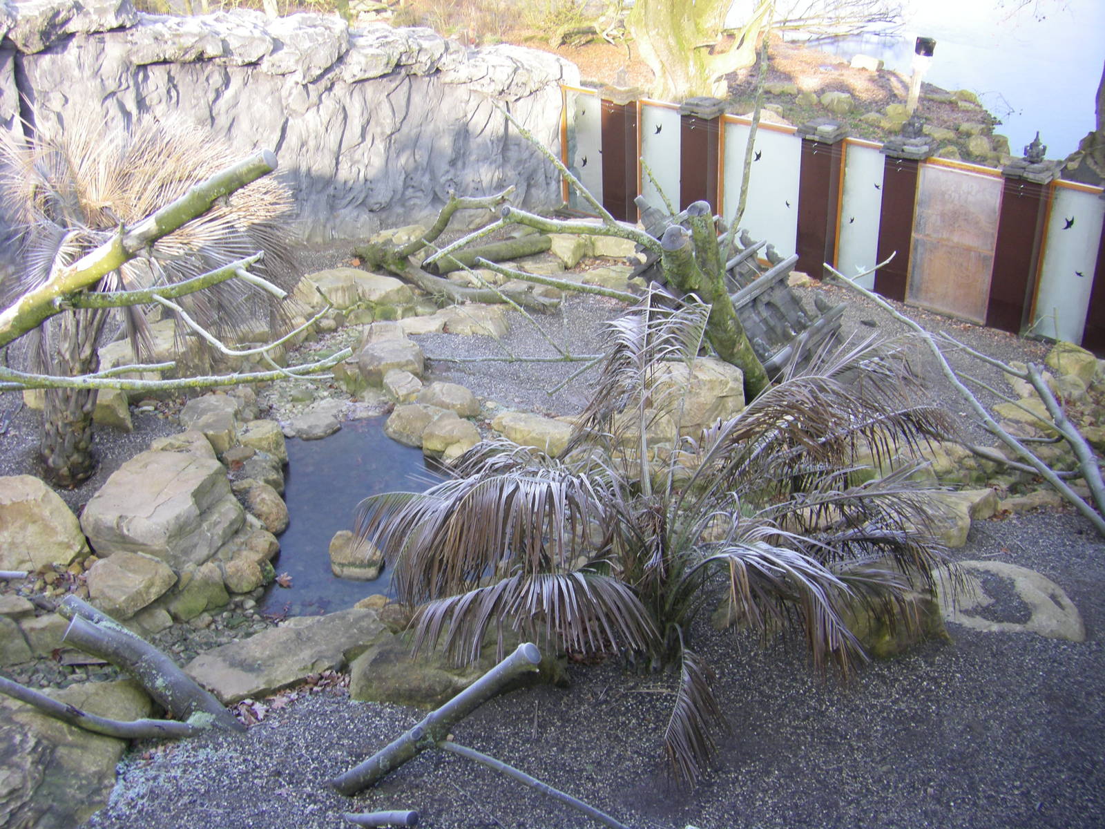 Paradisio jan 09 008