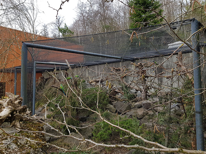 Parakeet and squirrel enclosure next to lion's house