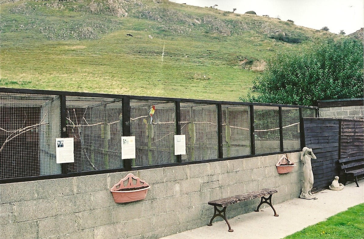 Parakeet aviares, 5th September 2005