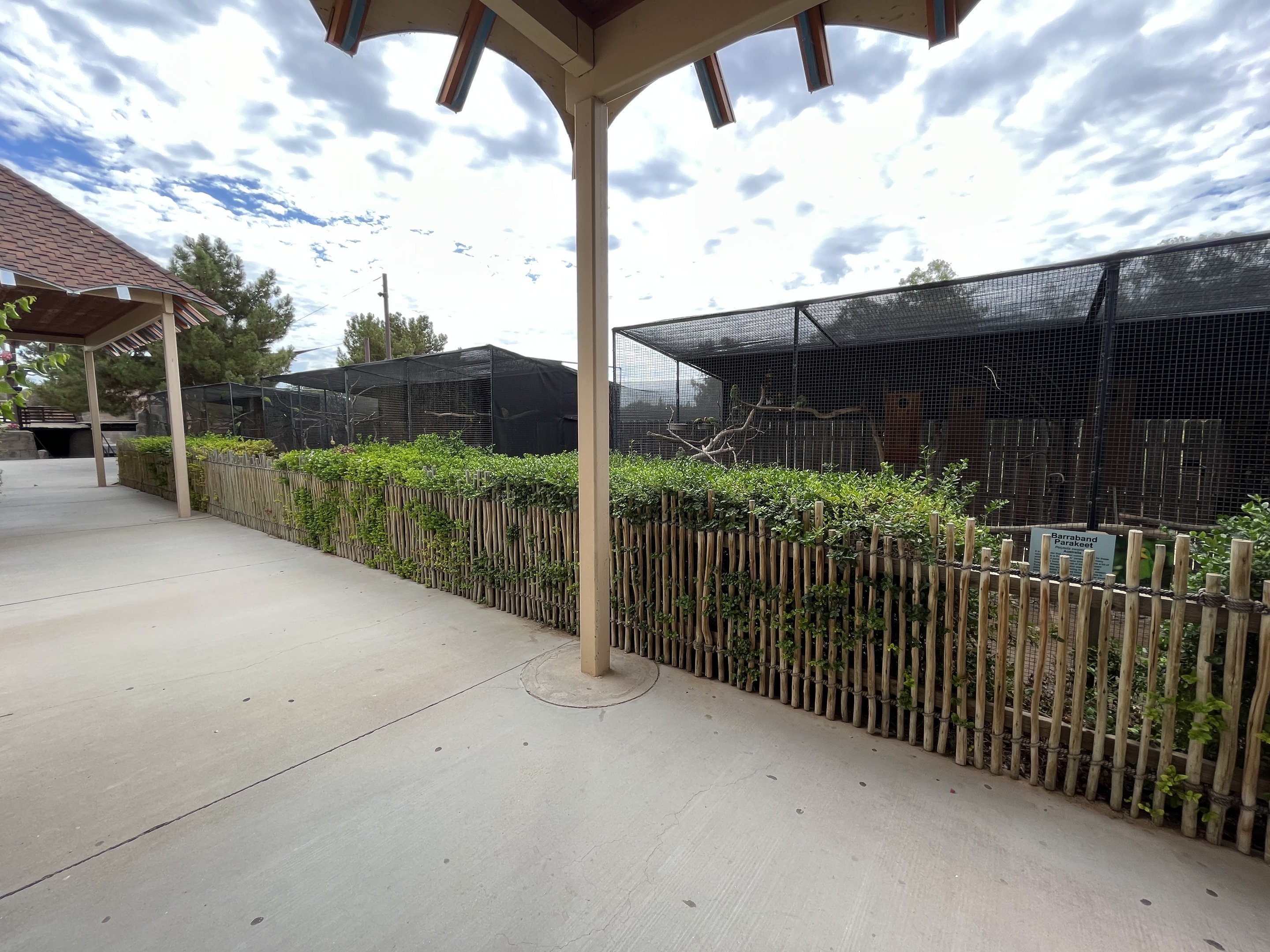 Parakeet Aviaries (3 species)