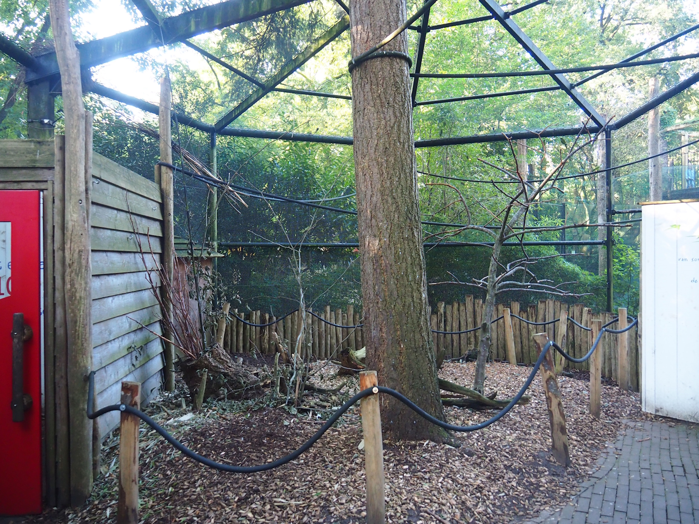 Parakeet aviary, 2023-09-24