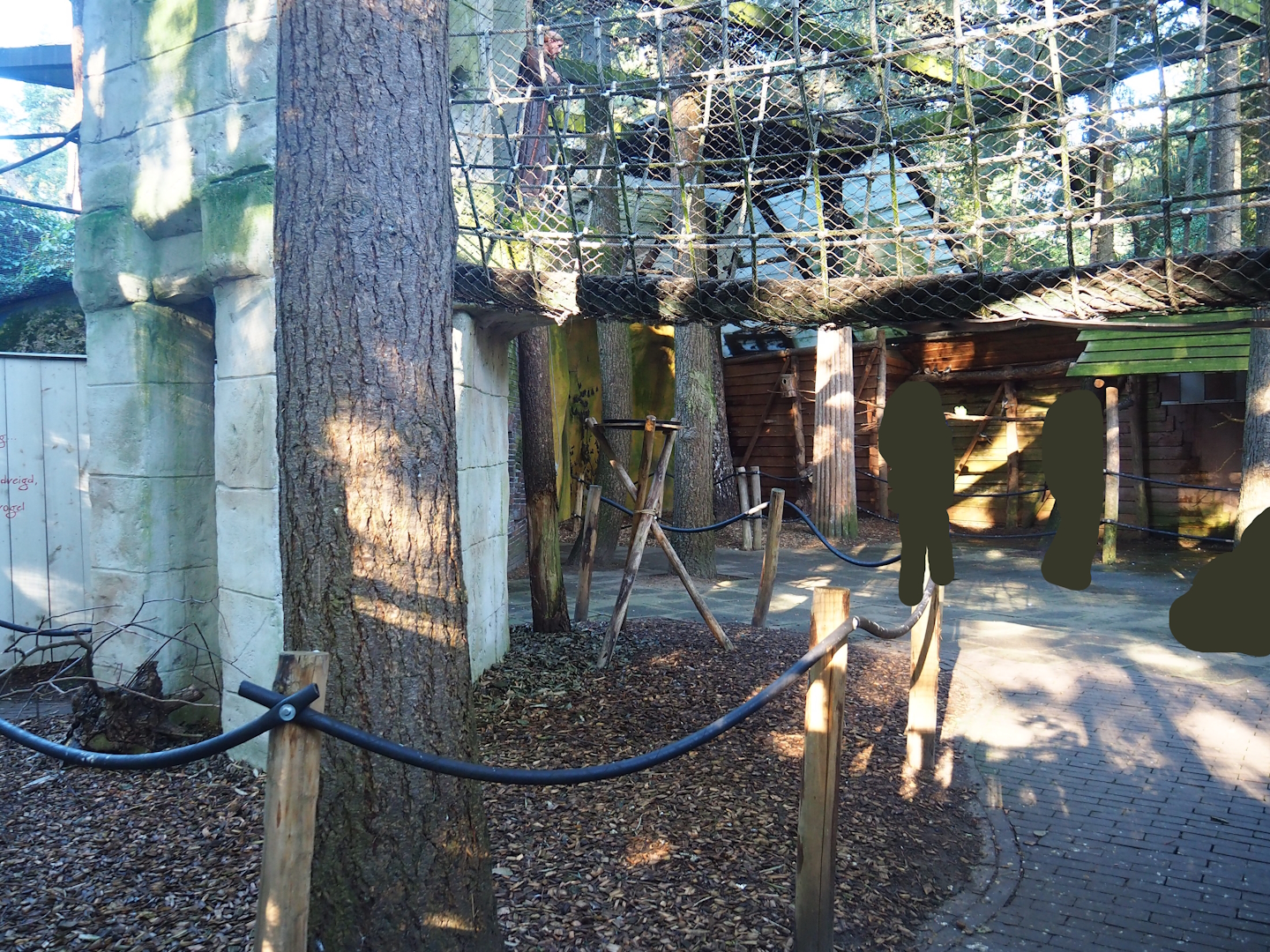 Parakeet aviary, 2023-09-24