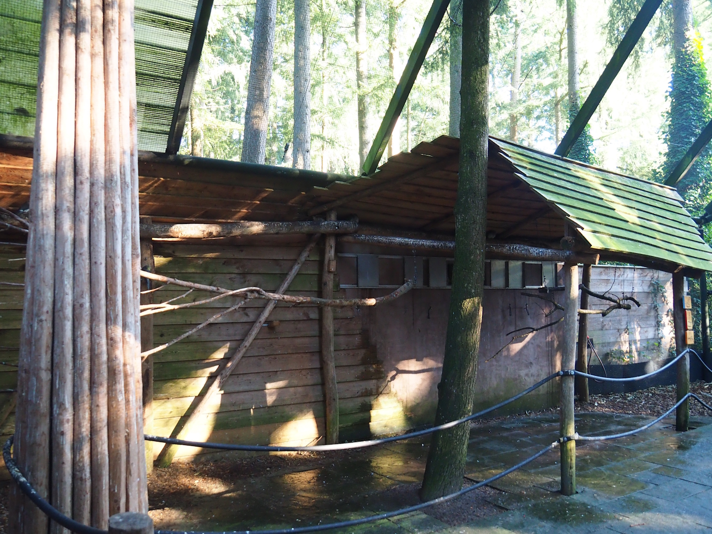 Parakeet aviary, 2023-09-24