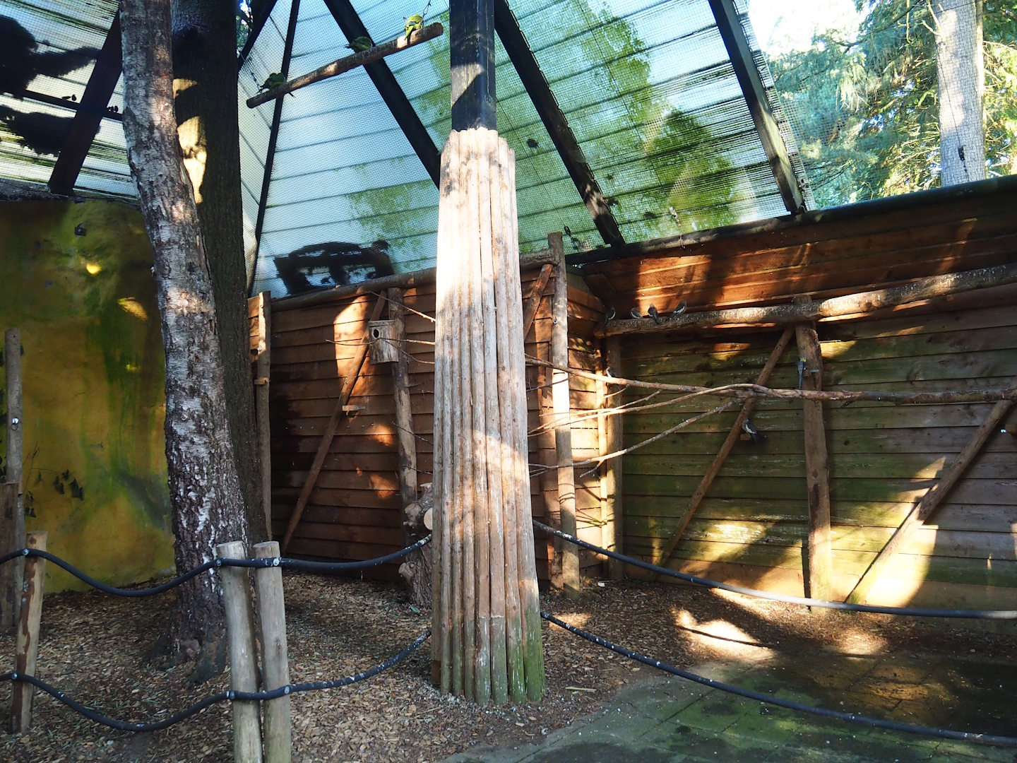 Parakeet aviary, 2023-09-24