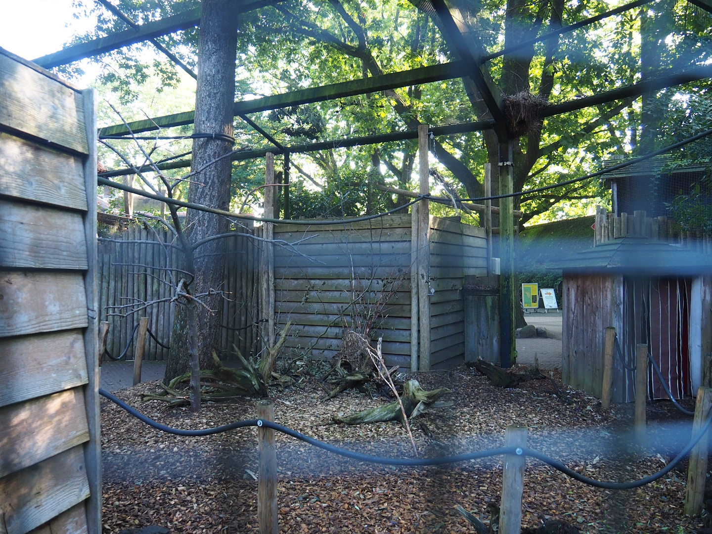 Parakeet aviary, 2023-09-24