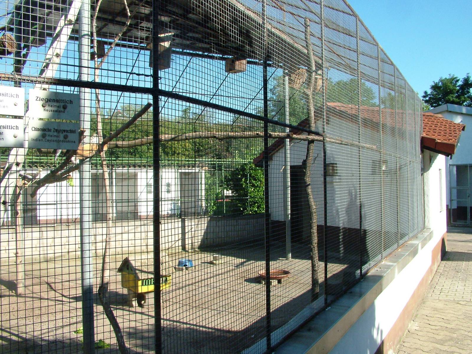 Parakeet Aviary at Vogelpark Reilingen, 06/09/2010