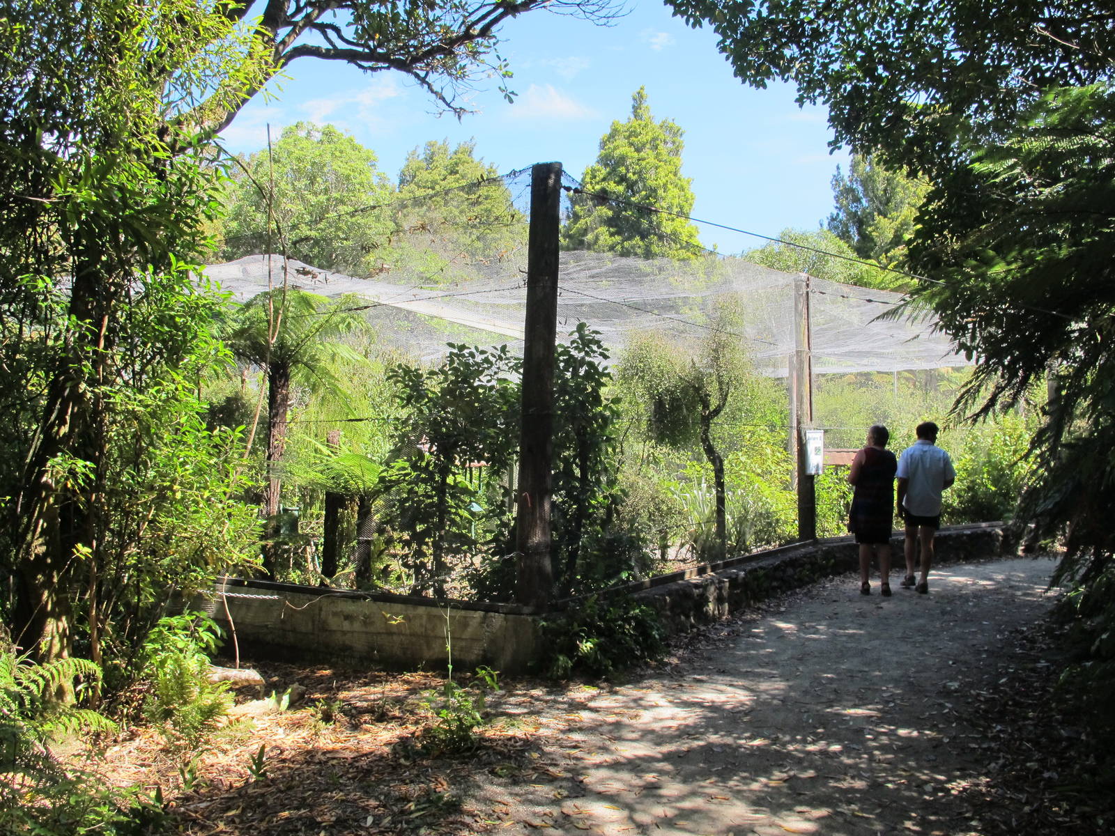 Parakeet Aviary - Mount Bruce February 2013