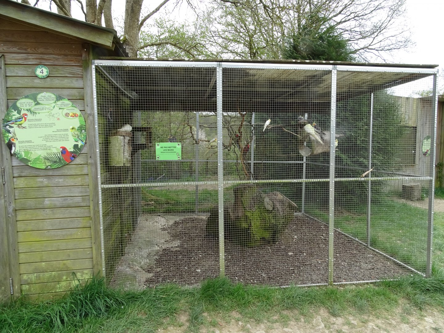 Parakeet aviary - Parc animalier d'Ecouves