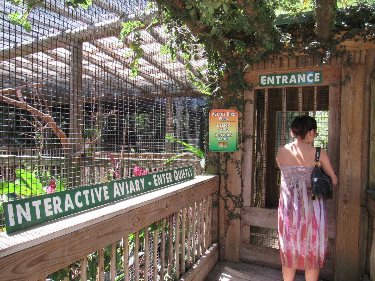 Parakeet Aviary - Wild Florida