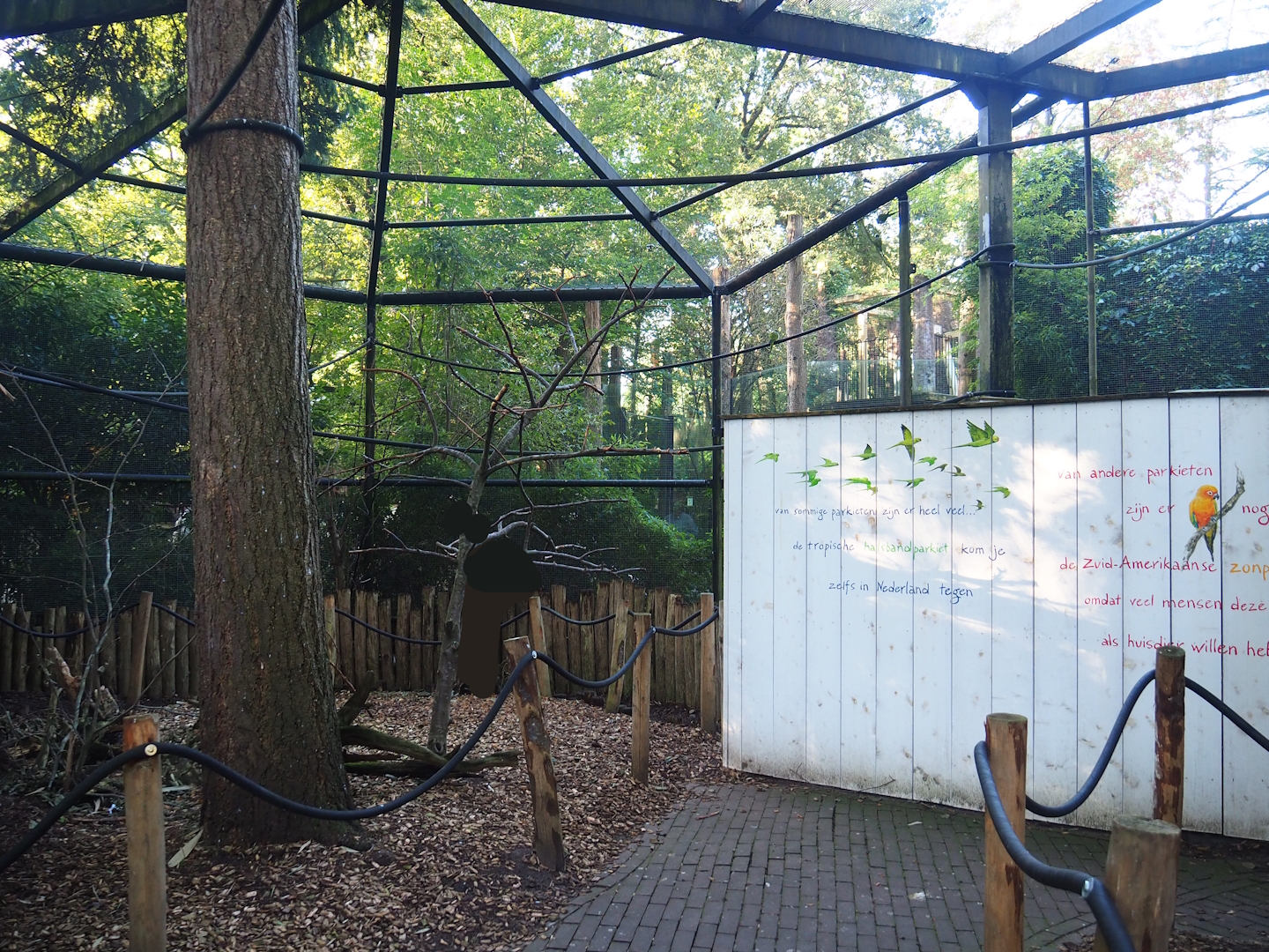 Parakeet aviary, with educational mural, 2023-09-24