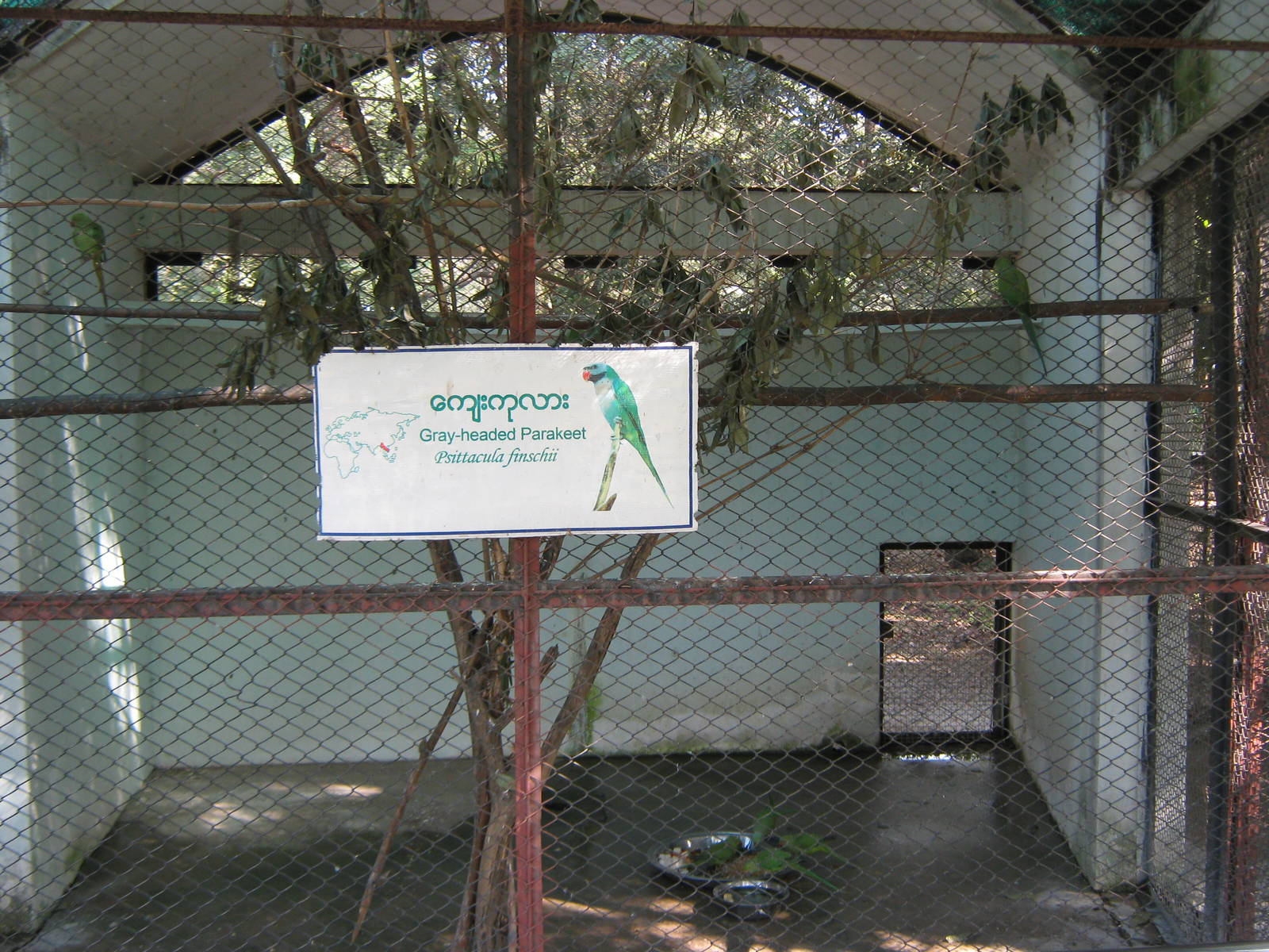 parakeet aviary