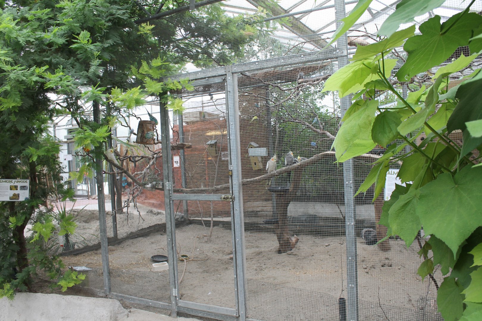 Parakeet-aviary