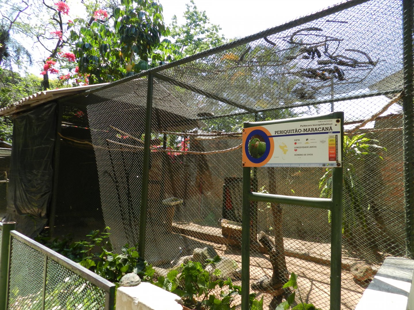 Parakeet exhibit - Campinas zoo (BDJ)