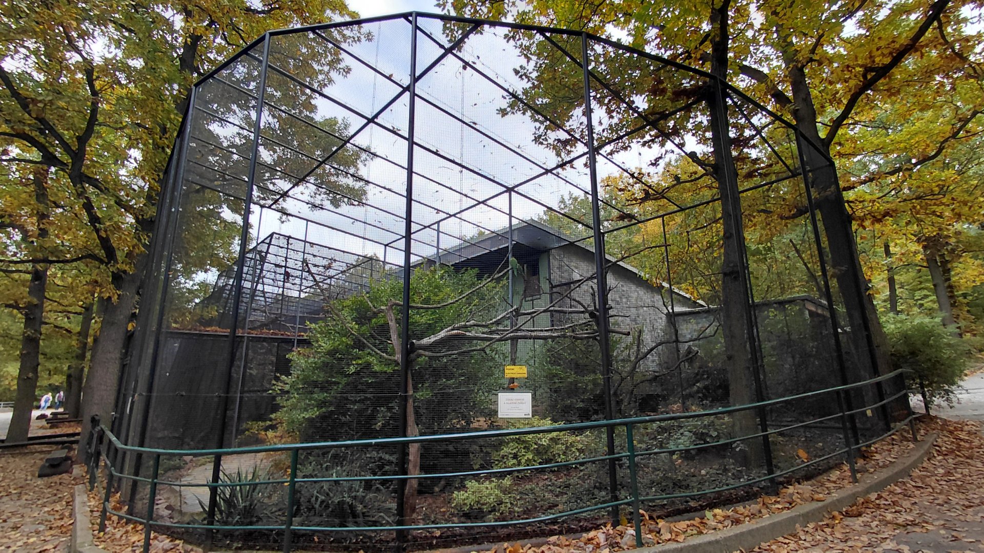 Parakeet + honeyeater aviary
