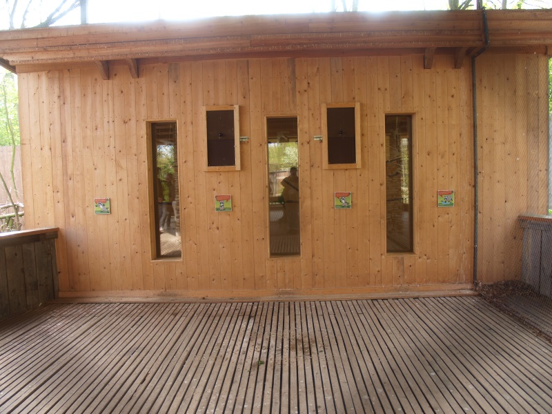 Parakeet house (May 2nd, 2015)