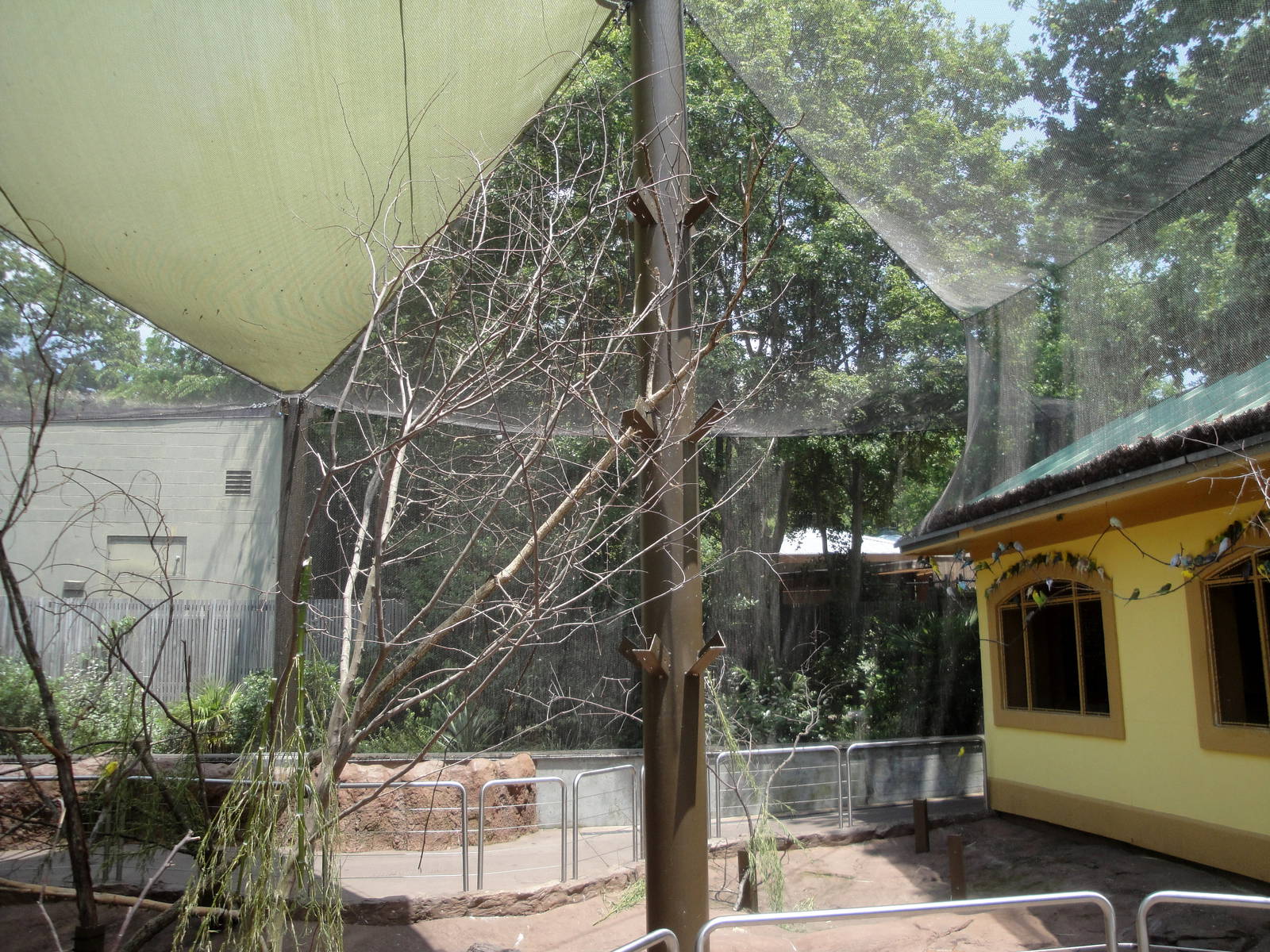 Parakeet Interactive Aviary