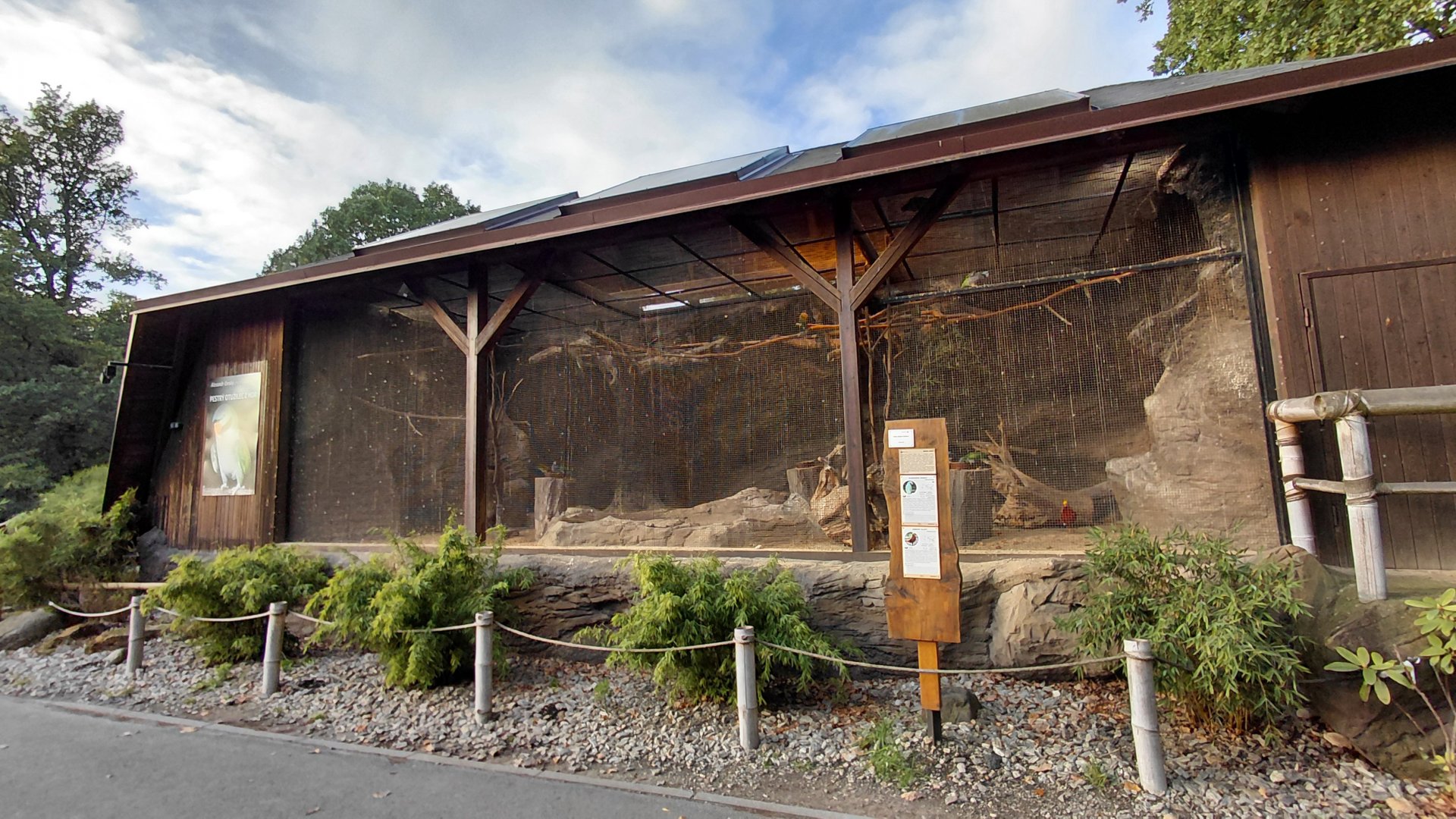 Parakeet + pheasant exhibit