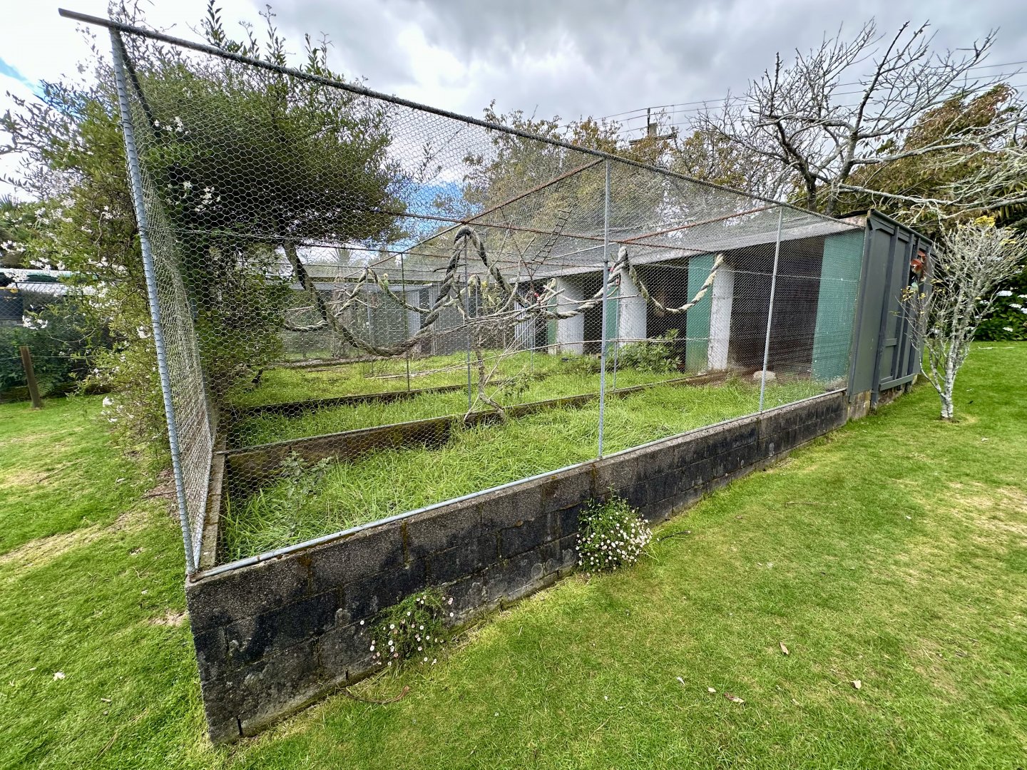 Parakeet/Pigeon Aviaries