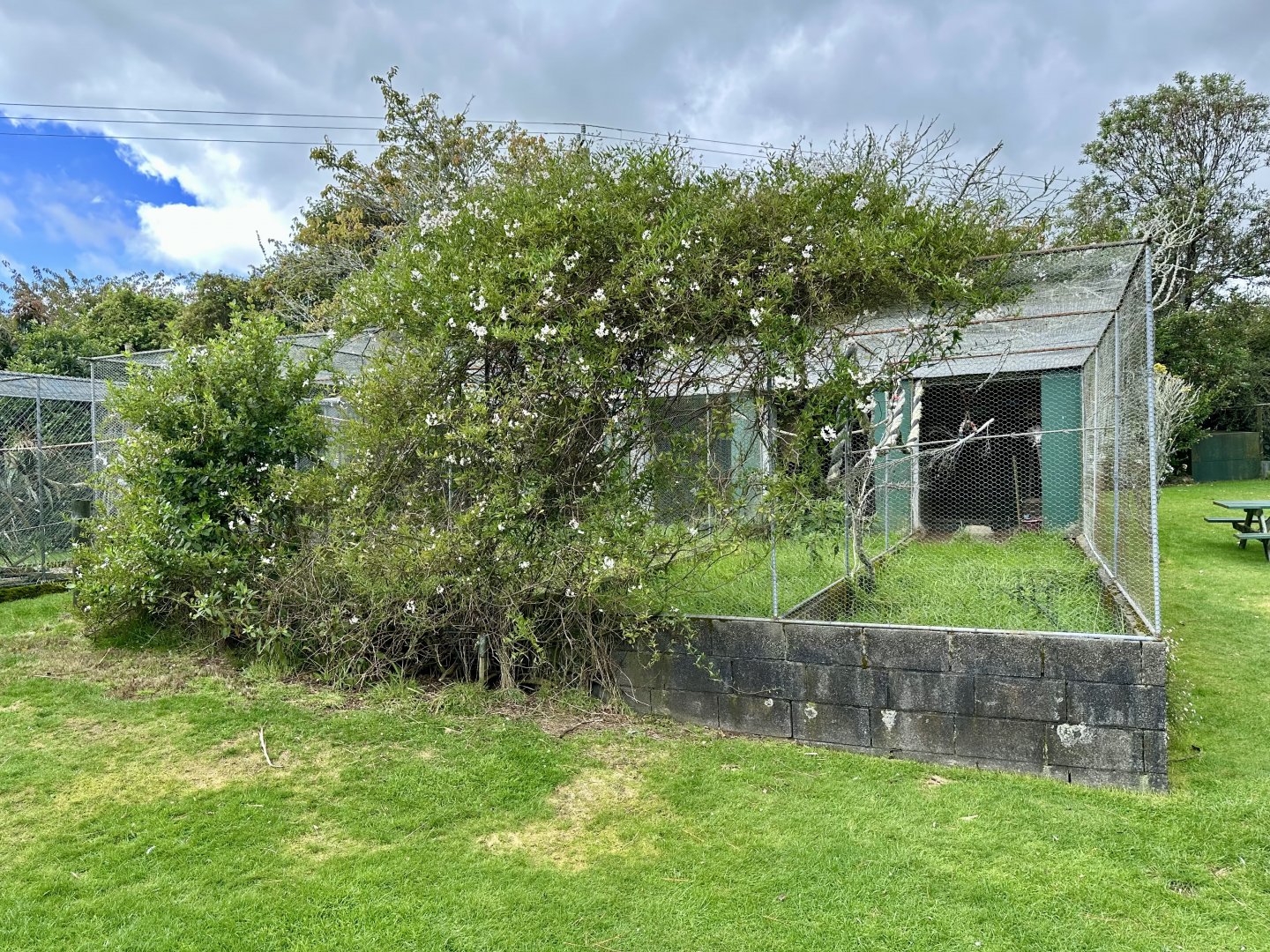 Parakeet/Pigeon Aviaries