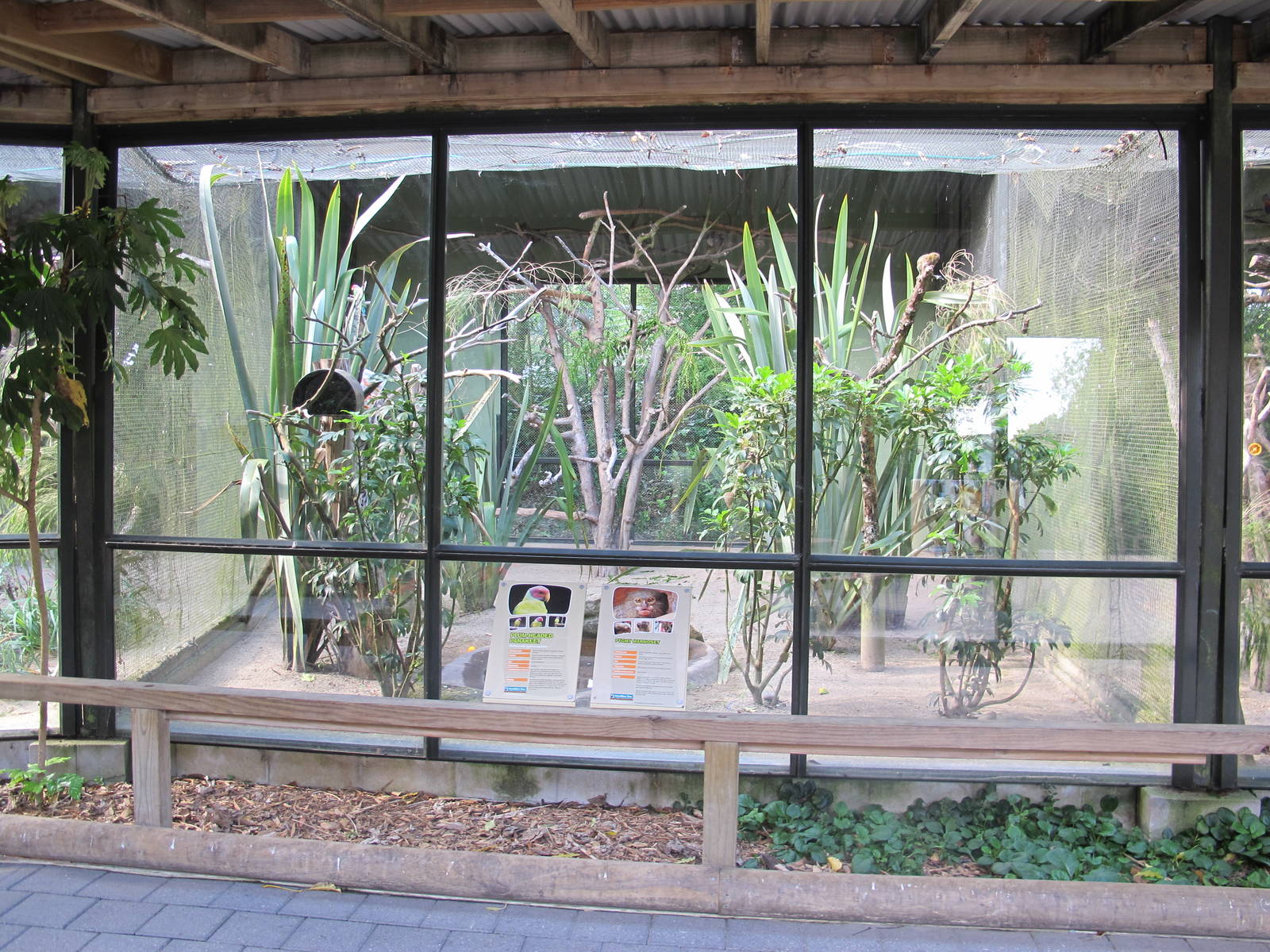 Parakeet & Pygmy Marmoset Aviary - Hamilton Zoo 2012