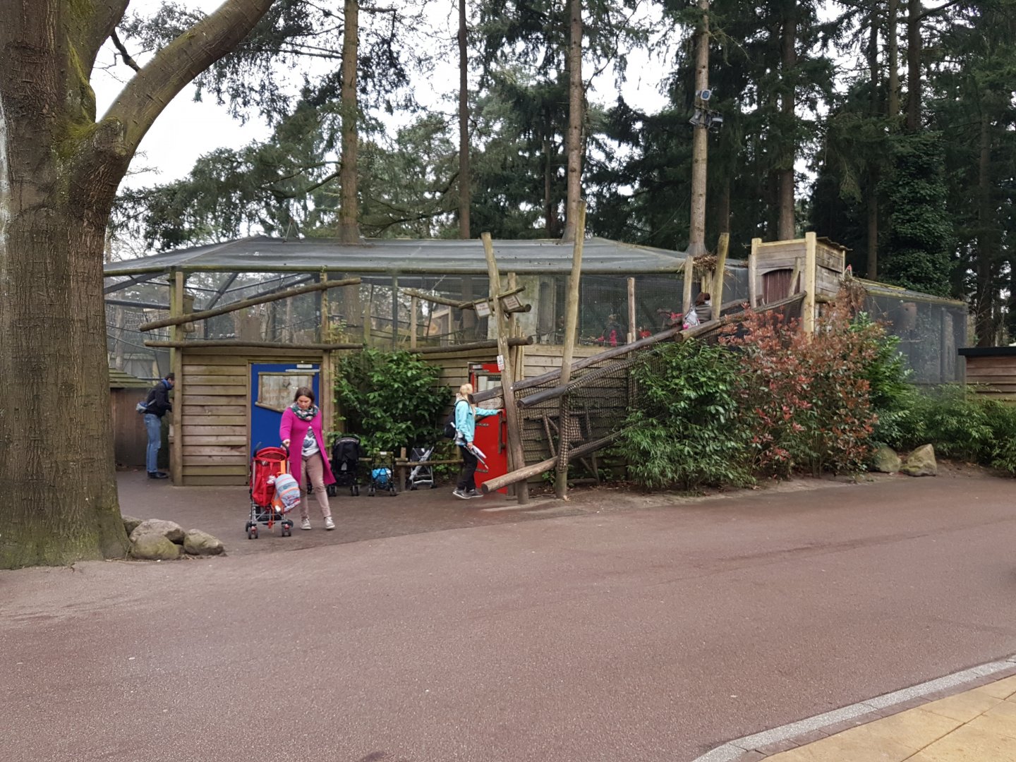 Parakeet-walk-through