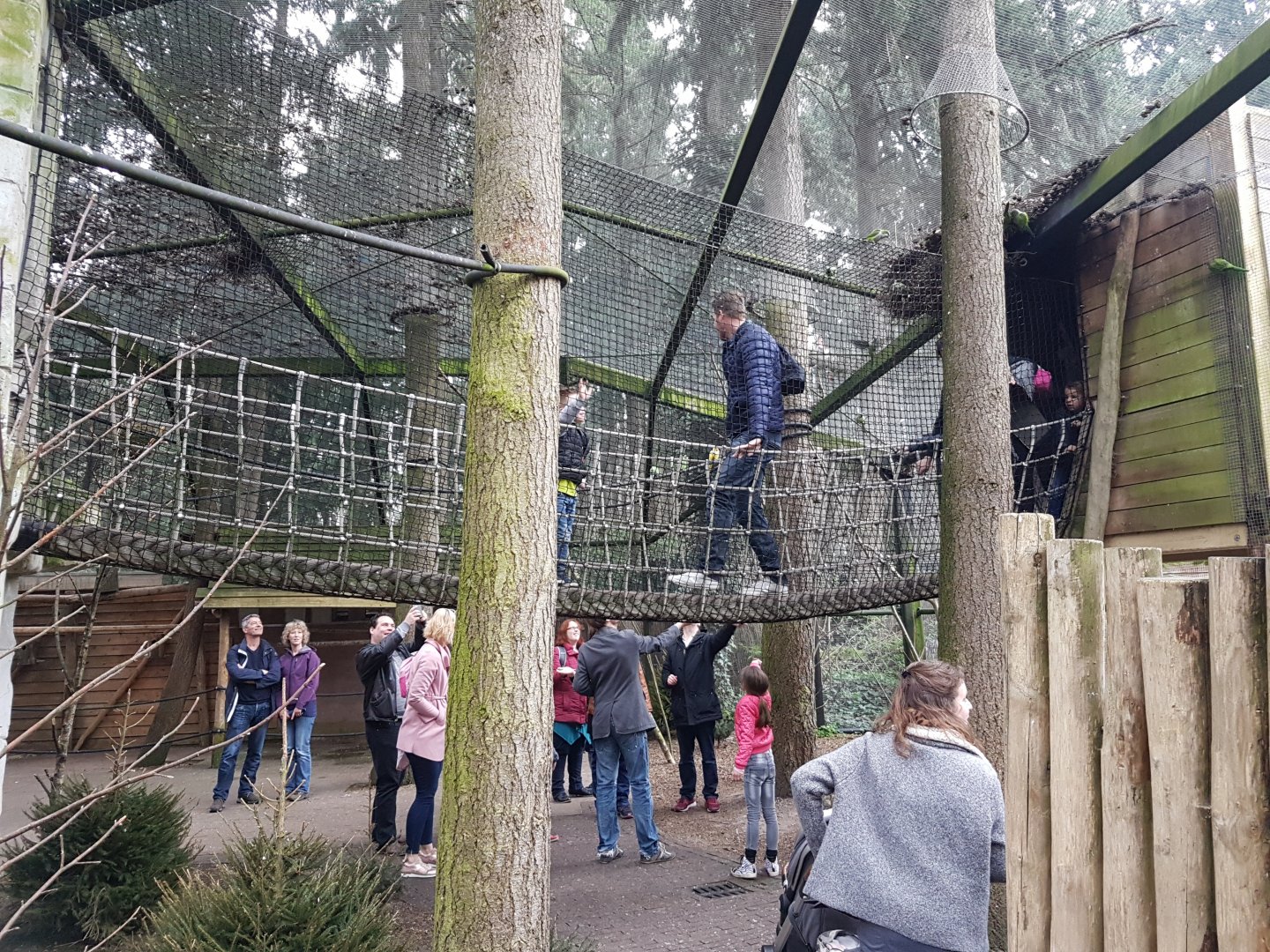 Parakeet-walk-through