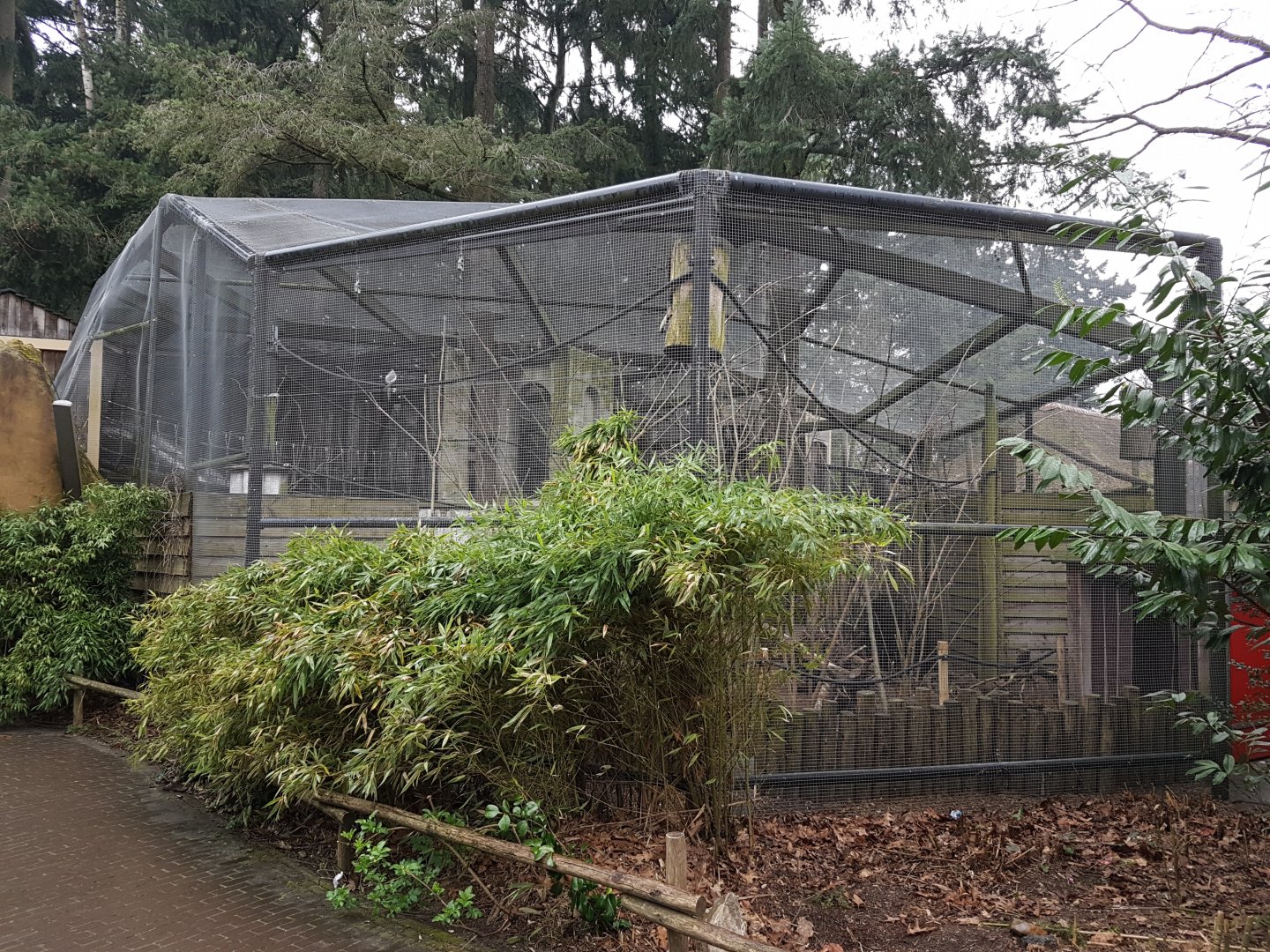 Parakeet-walk-through