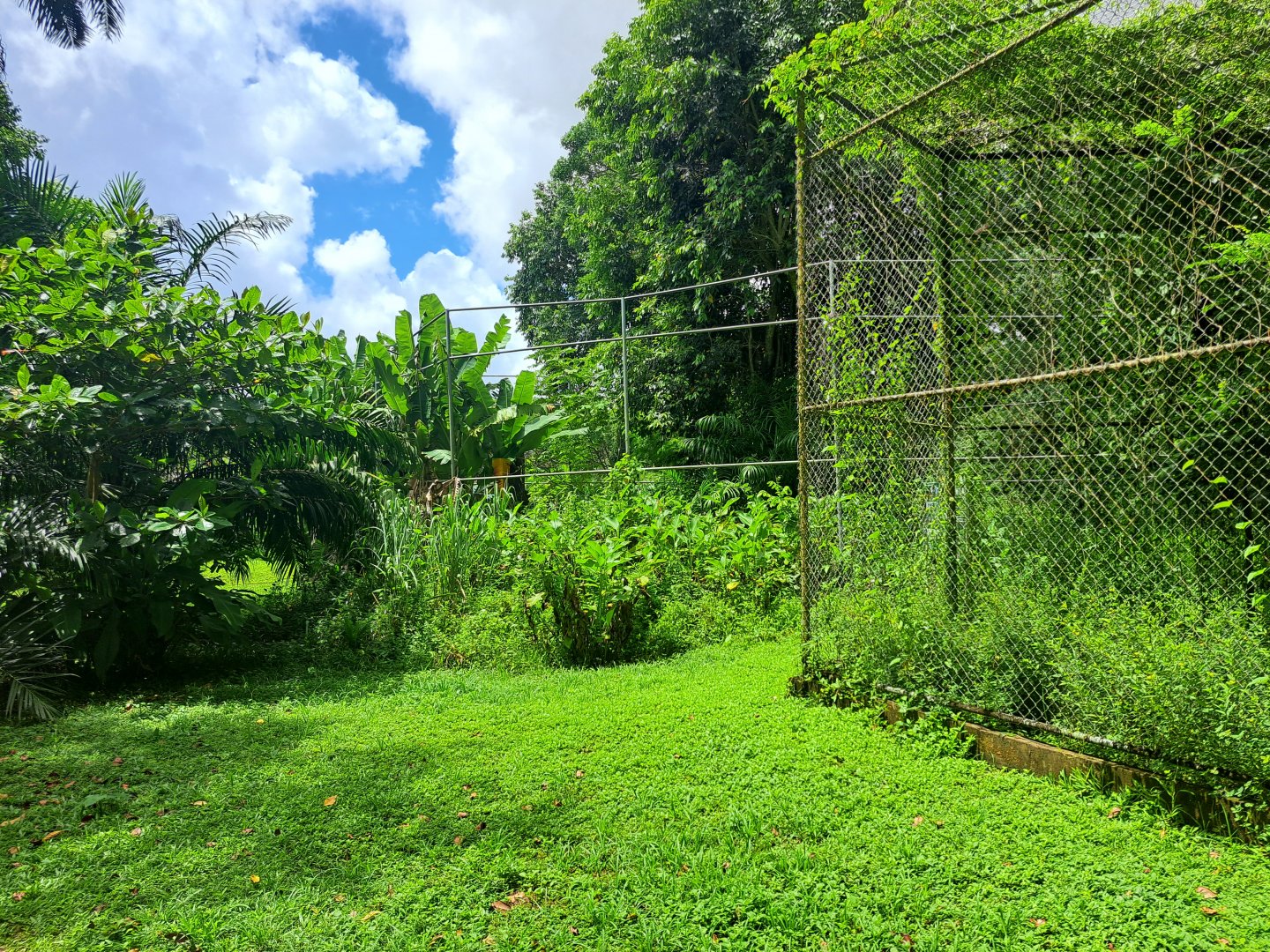 paramaribo zoo enclosure in construction