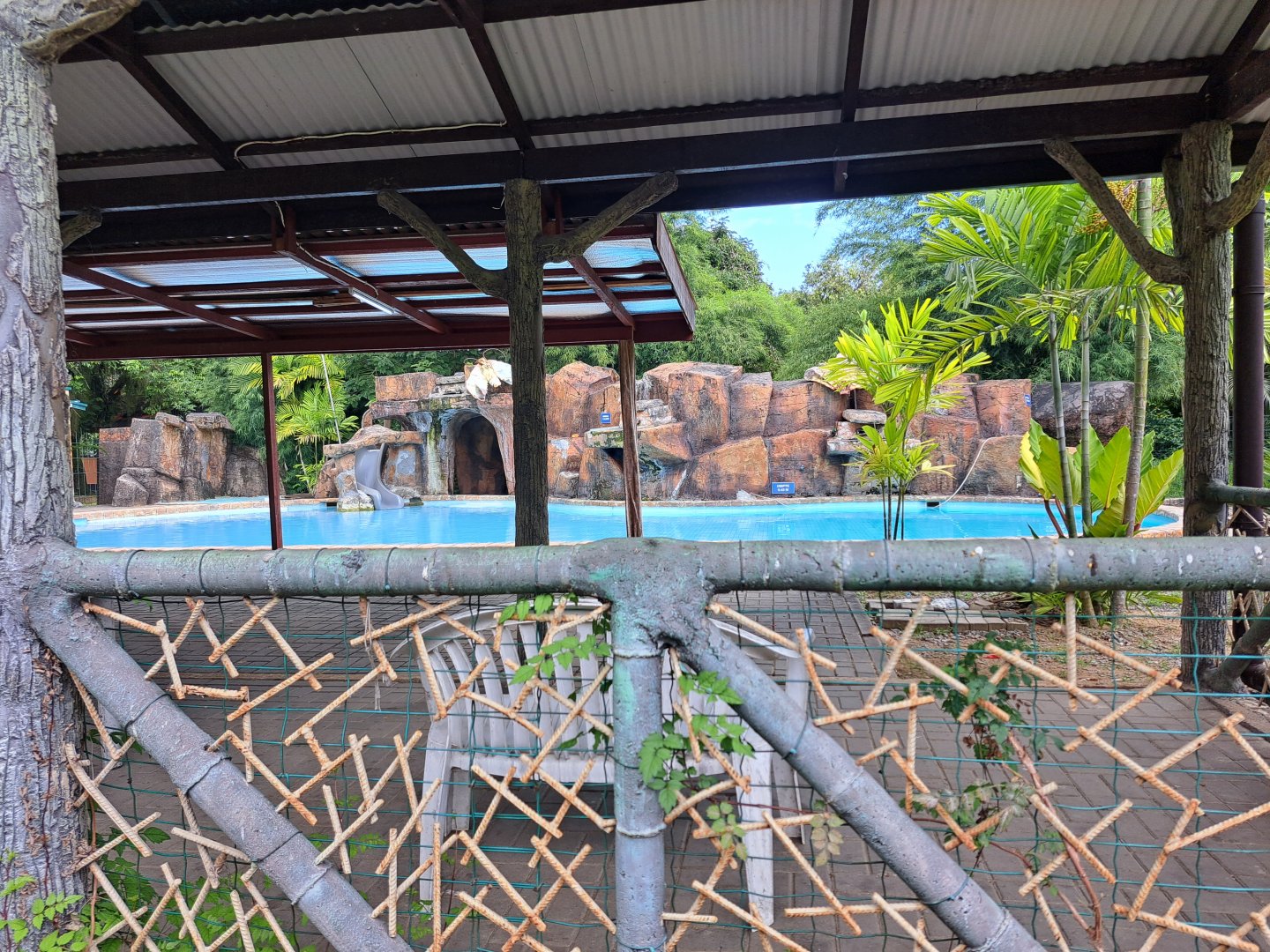 paramaribo zoo, swimming pool