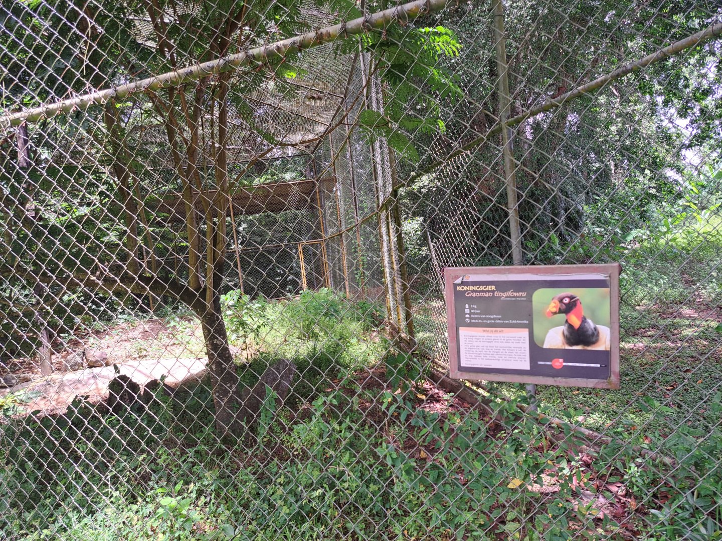 paramaribo zoo