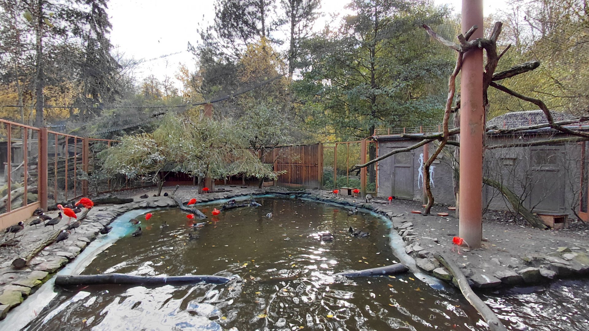 Paraná delta walkthrough aviary