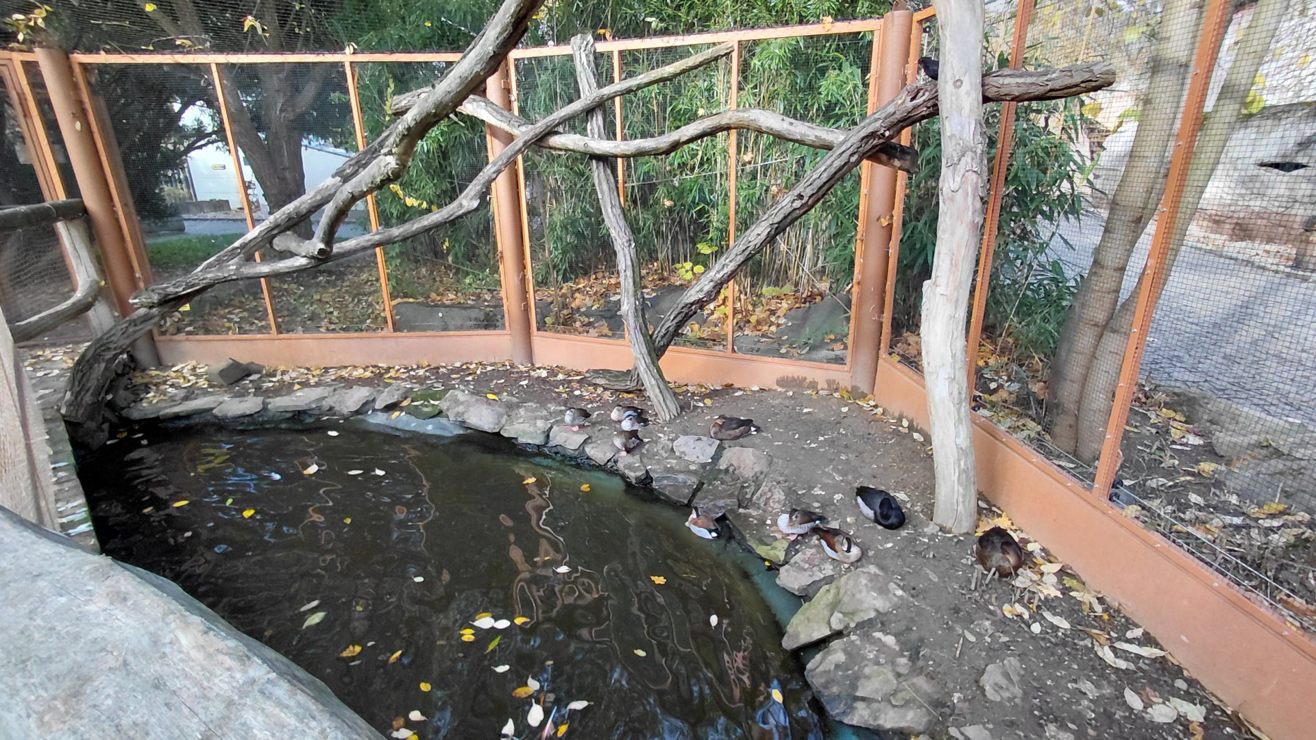 Paraná delta walkthrough aviary