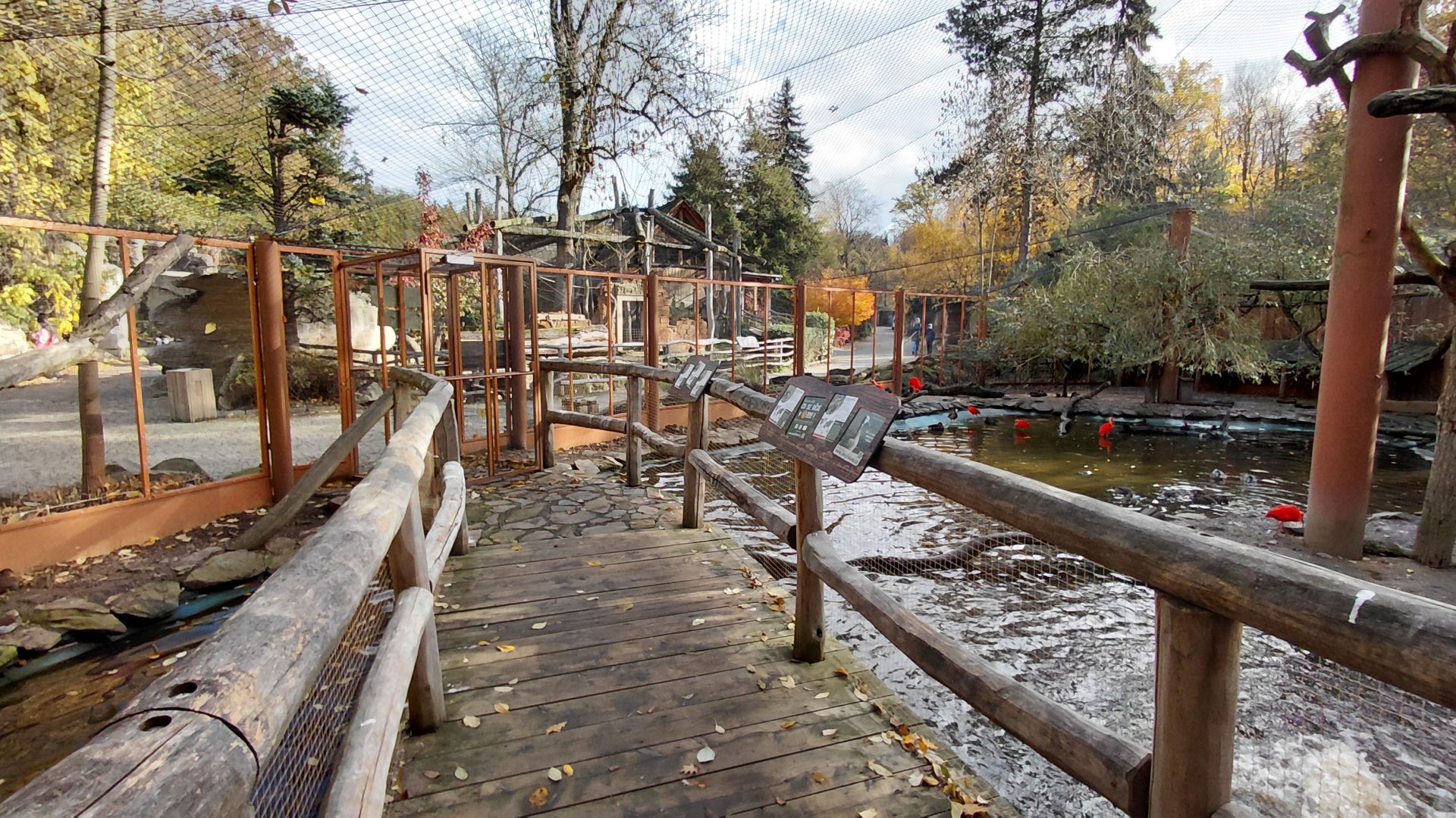 Paraná delta walkthrough aviary