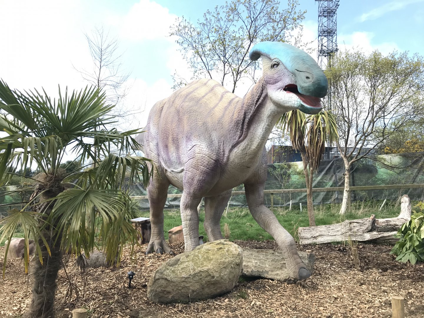 Parasaurolophus