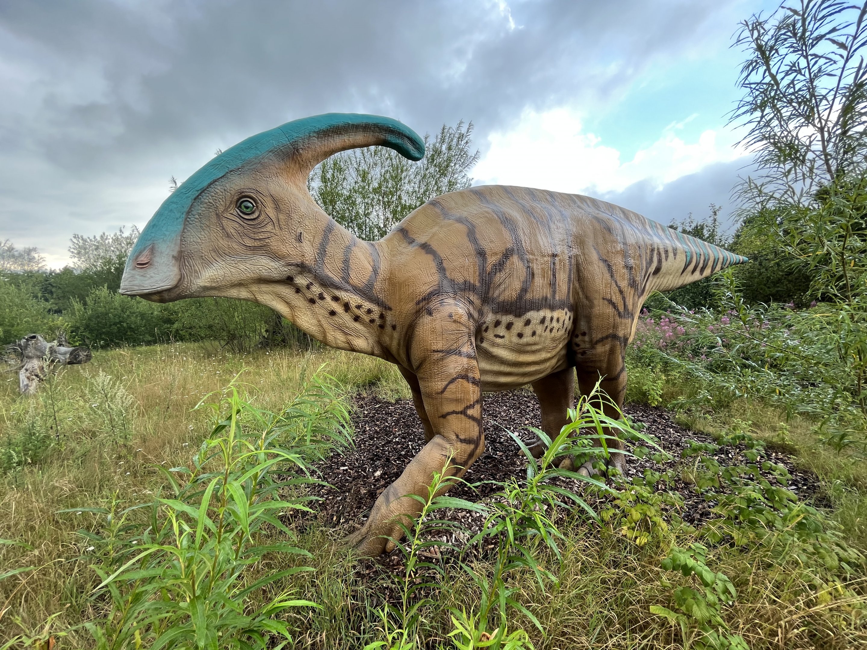 Parasaurolophus