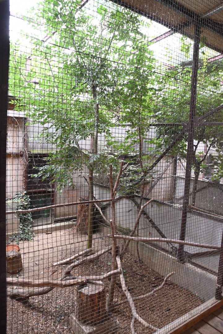 paraZOO - Eurasian-eagle owl exhibit