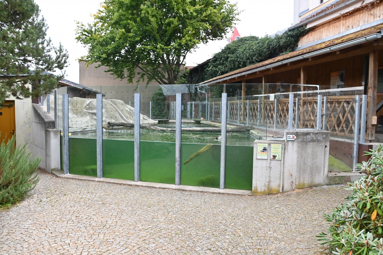 paraZOO - Eurasian otter exhibit