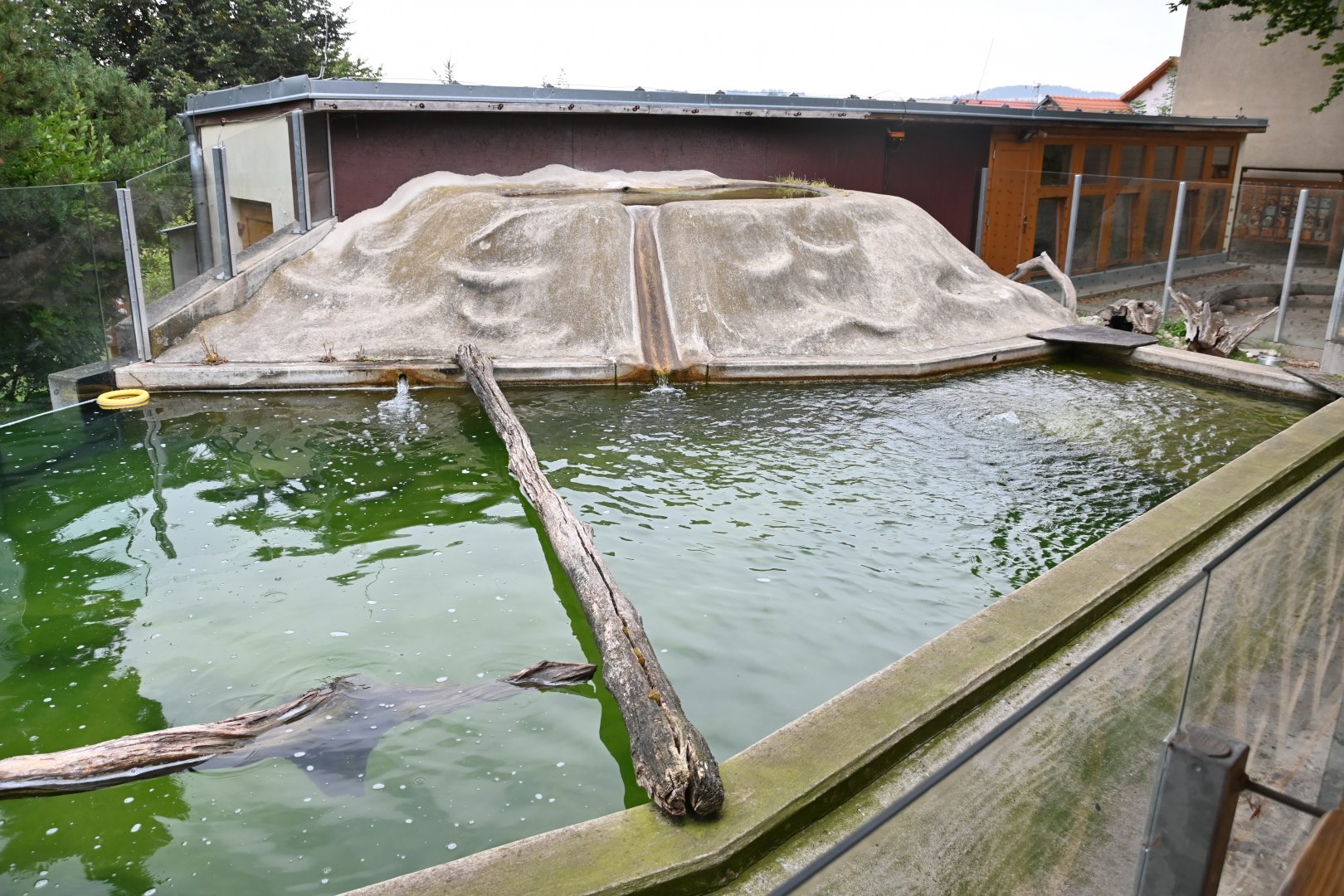 paraZOO - Eurasian otter exhibit