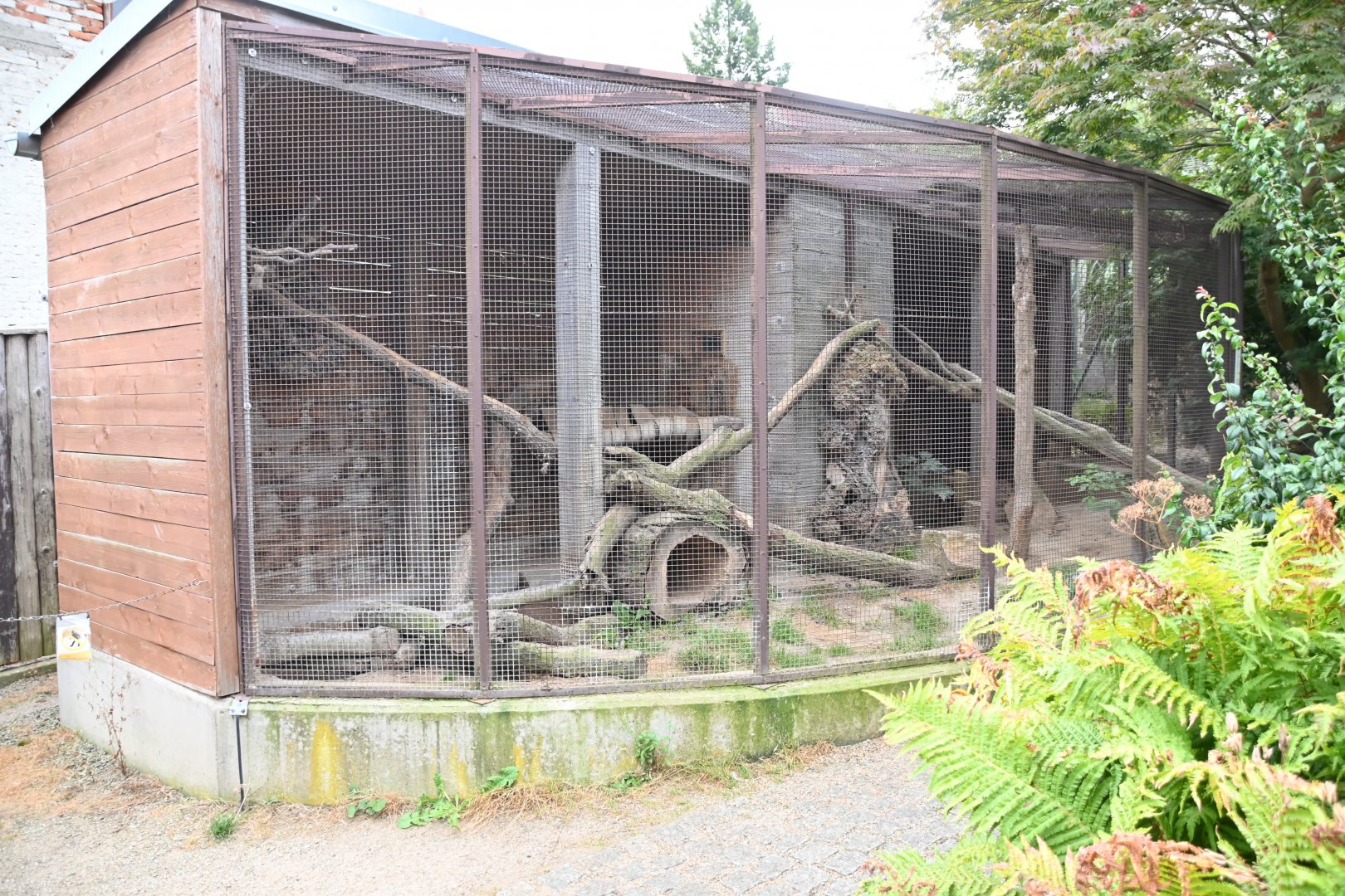 paraZOO - European wildcat exhibit