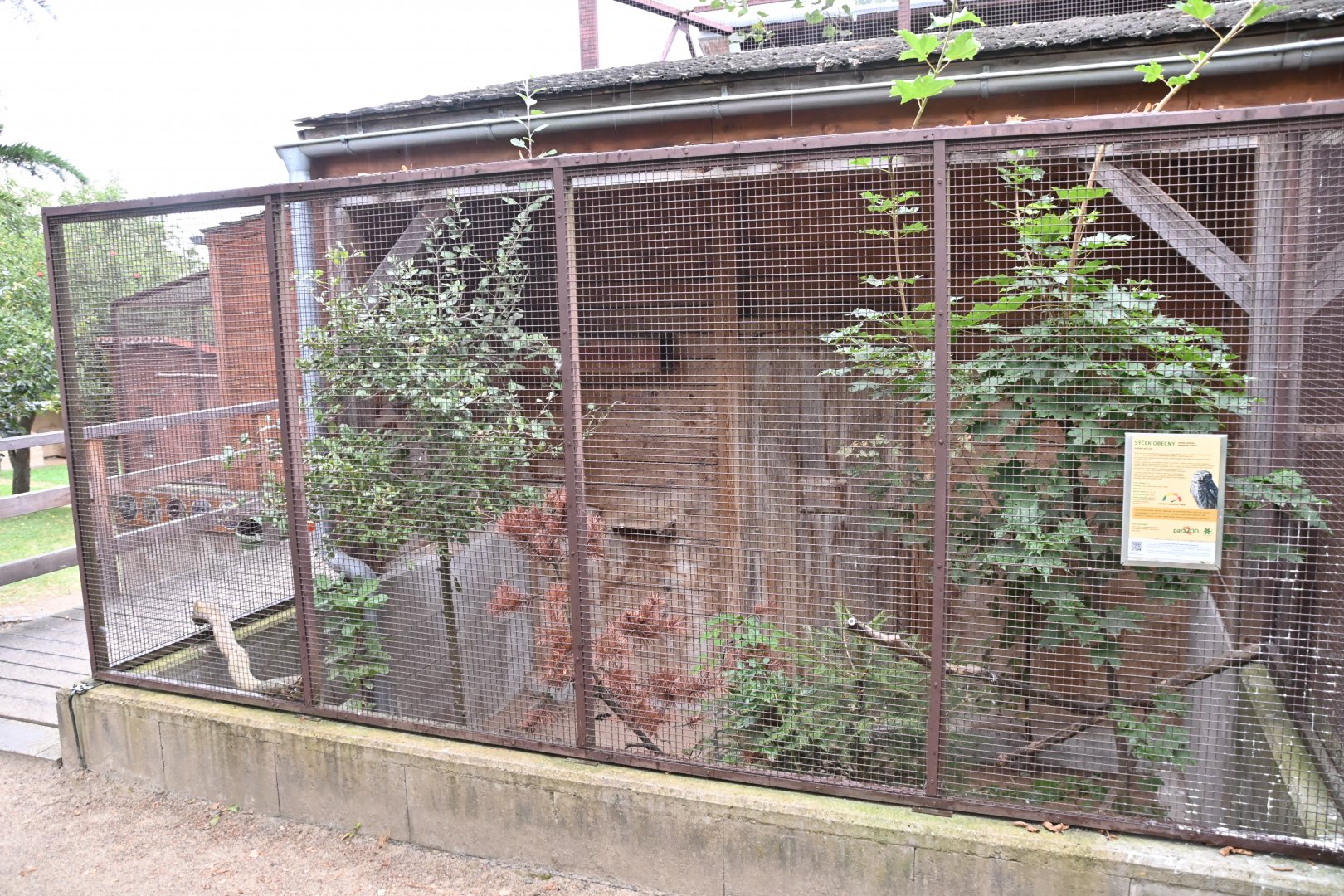 paraZOO - little owl exhibit