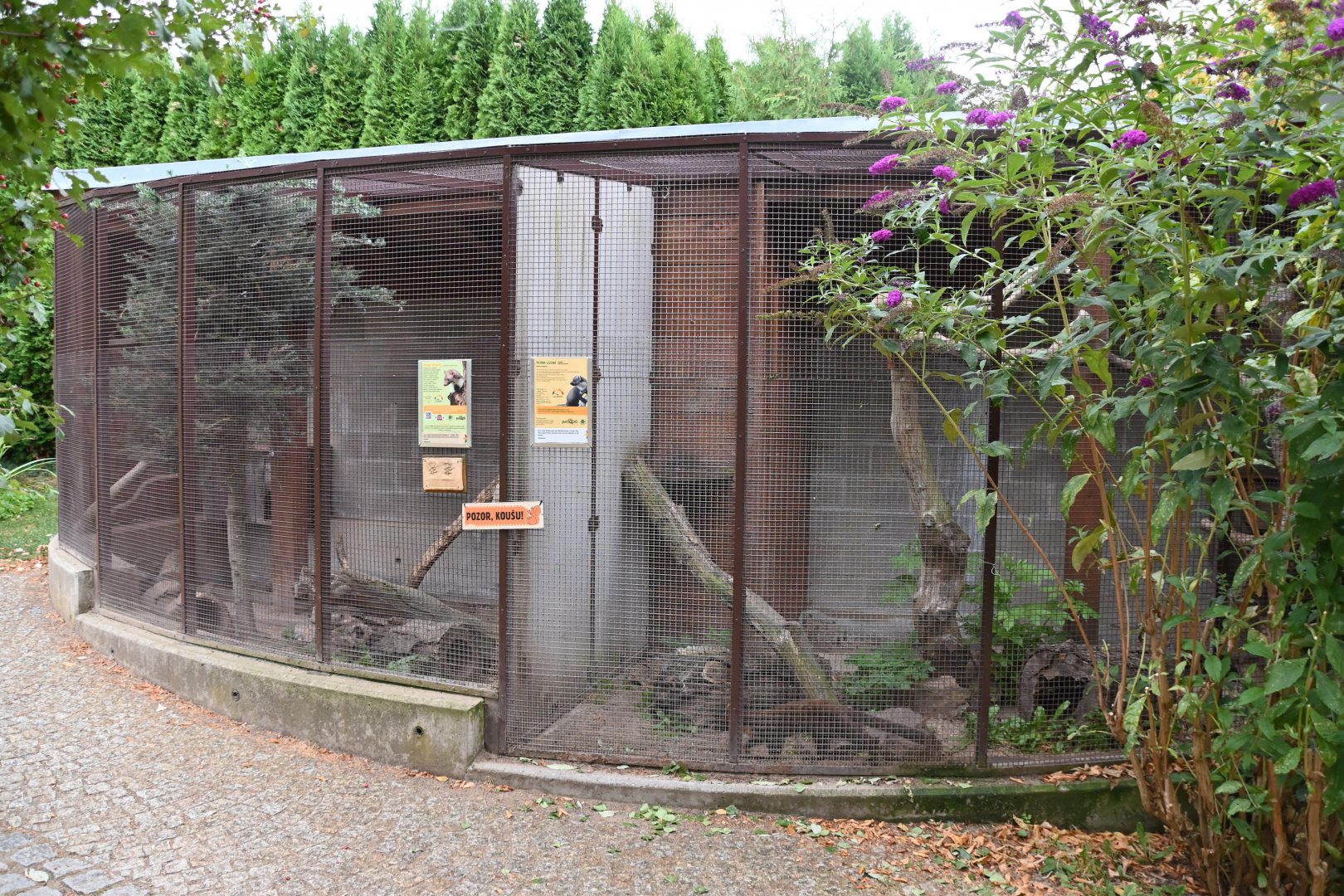 paraZOO - marten exhibit