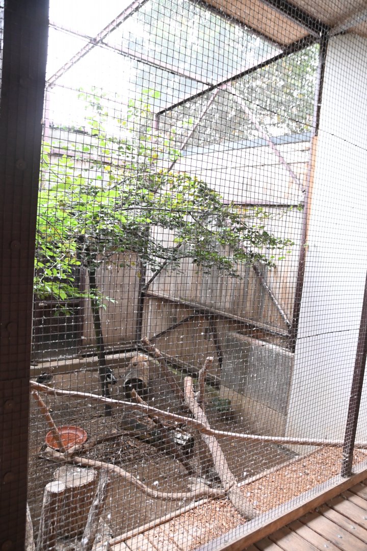 paraZOO - mixed exhibit