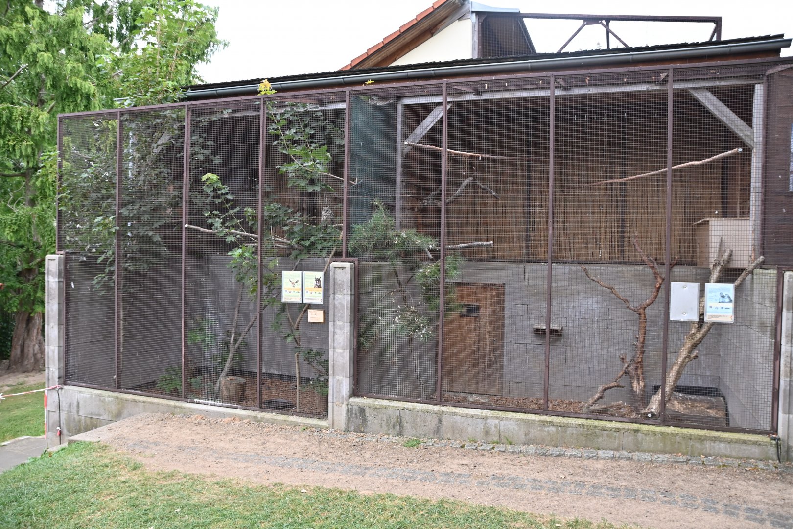 paraZOO - owl exhibit